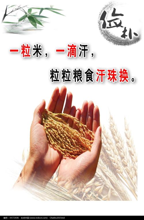 一比一仿圣卢克卫生科学学院文凭毕业证